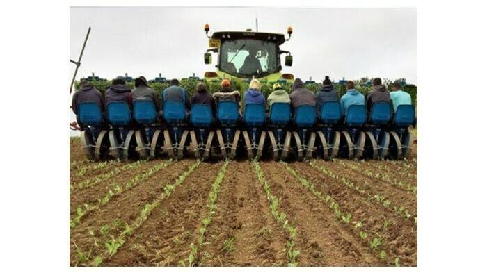 Ferrari trasplantadora-fmax de web (2)|Ferrari 1 b (2)